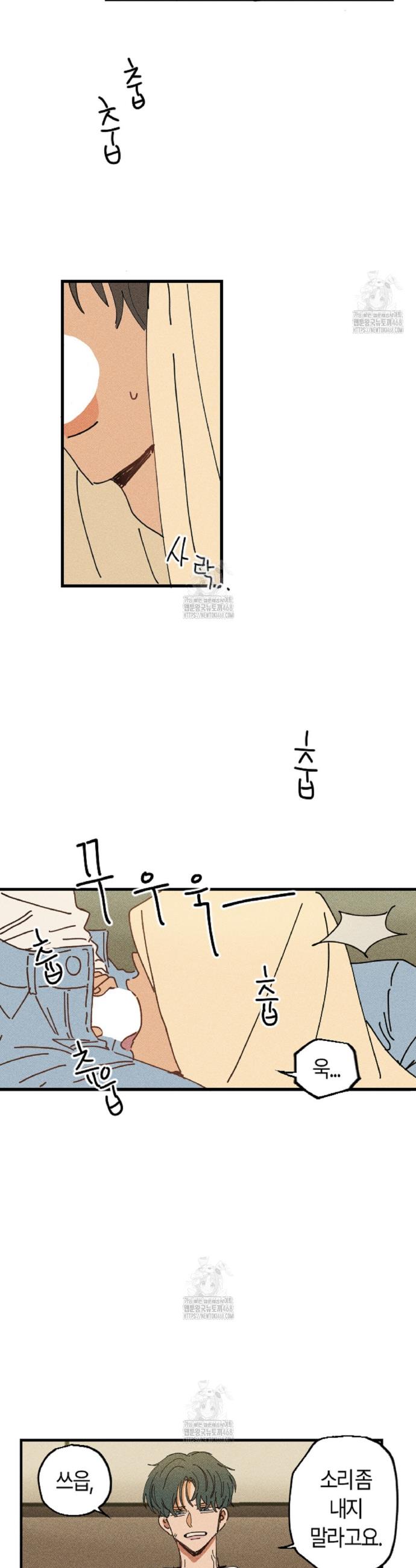 003.jpg