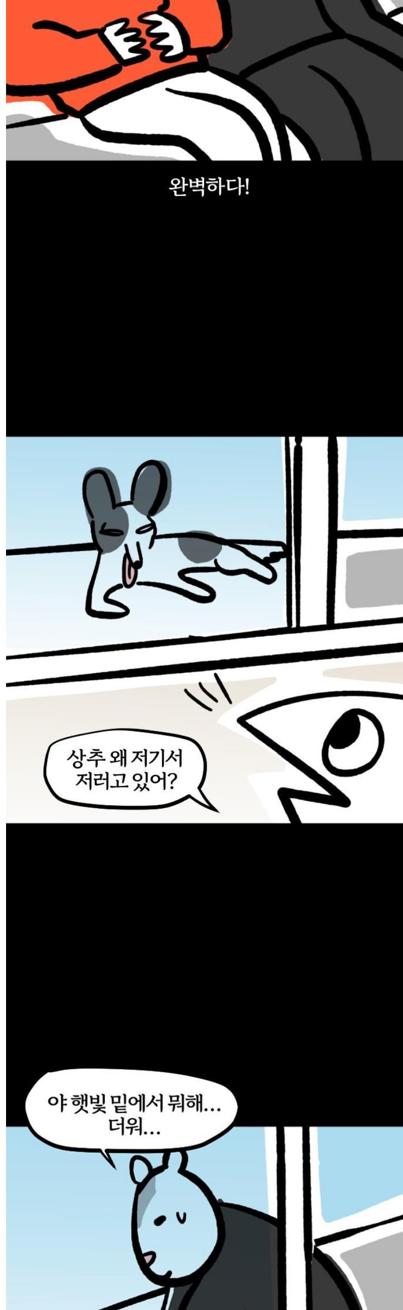 005.jpg