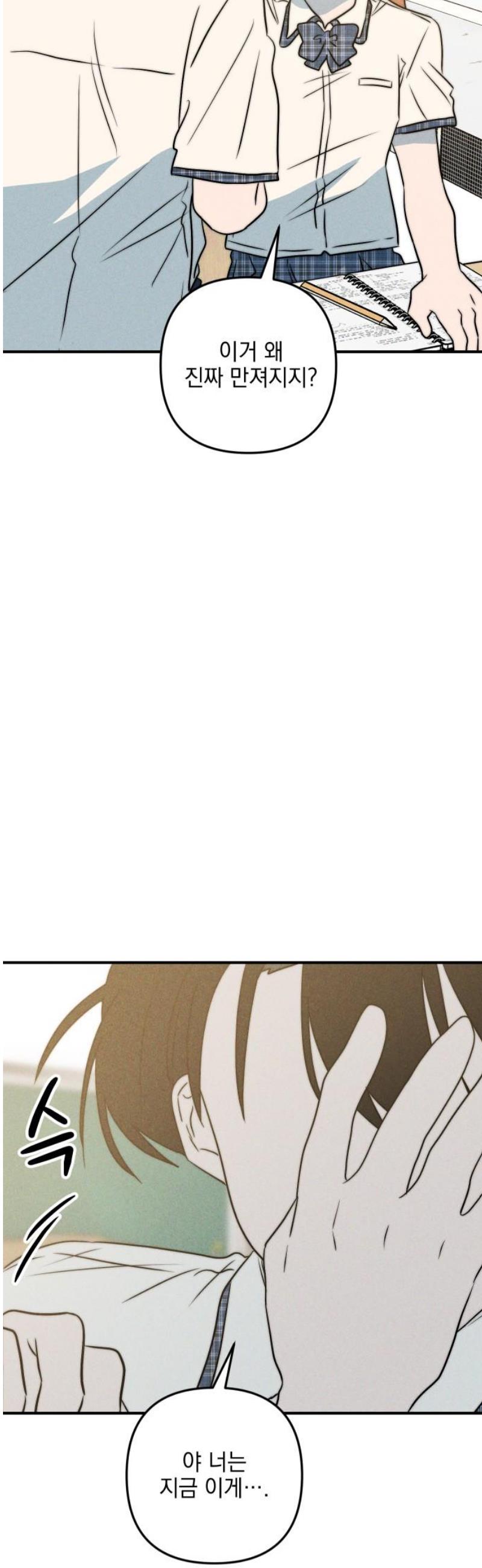 003.jpg