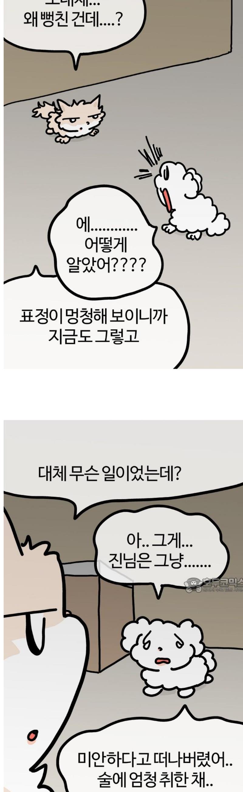 010.jpg