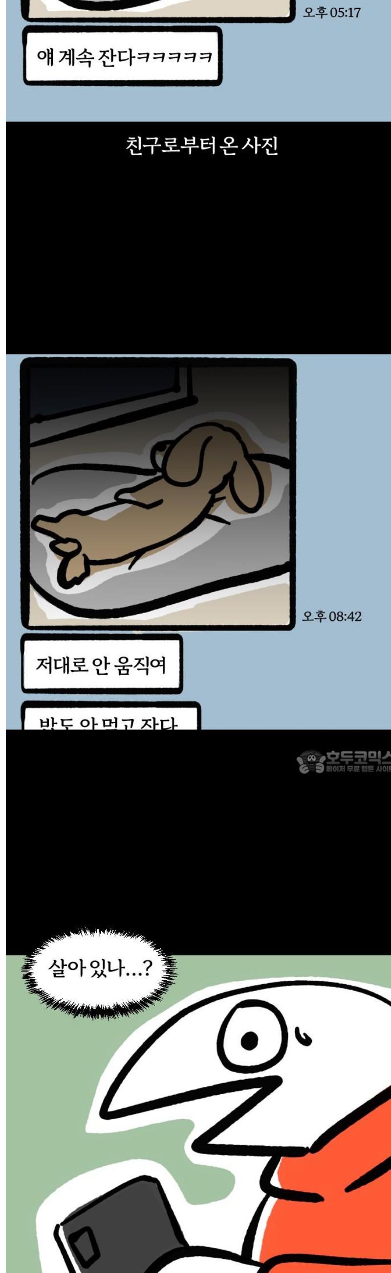 008.jpg