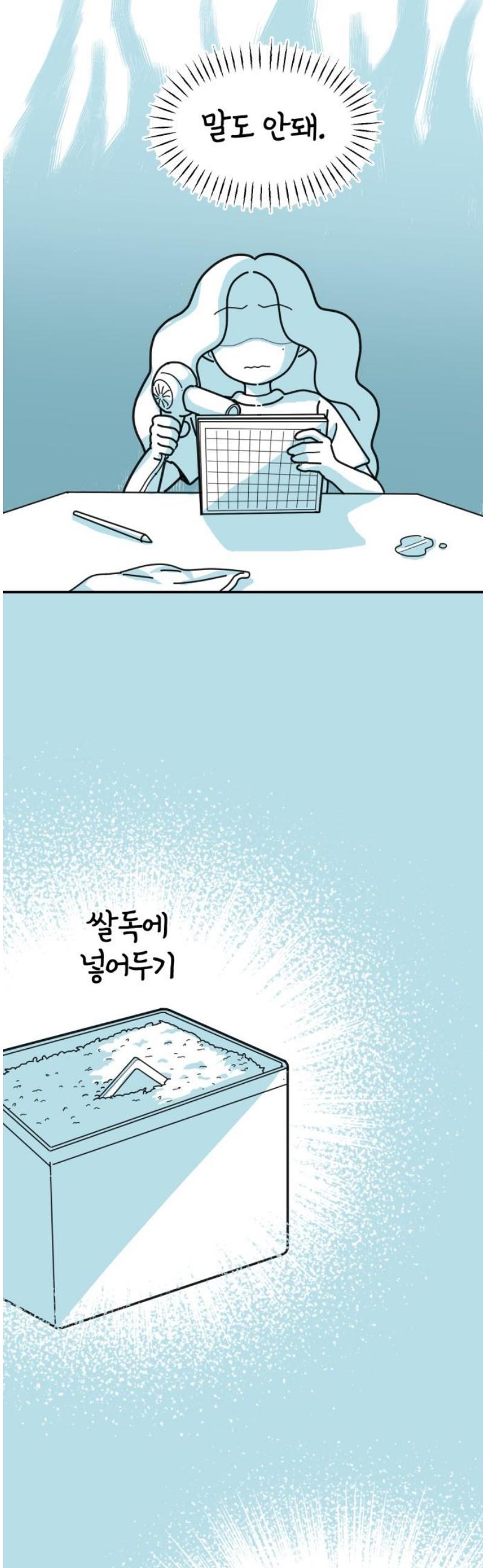 003.jpg