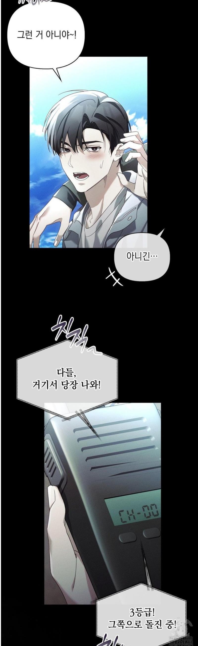 005.jpg