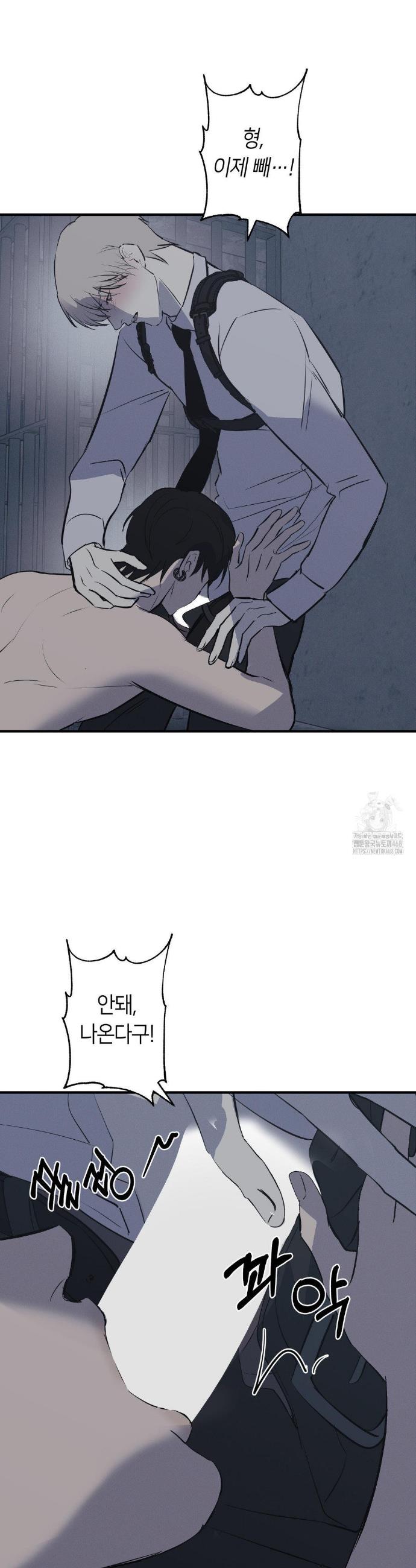 009.jpg