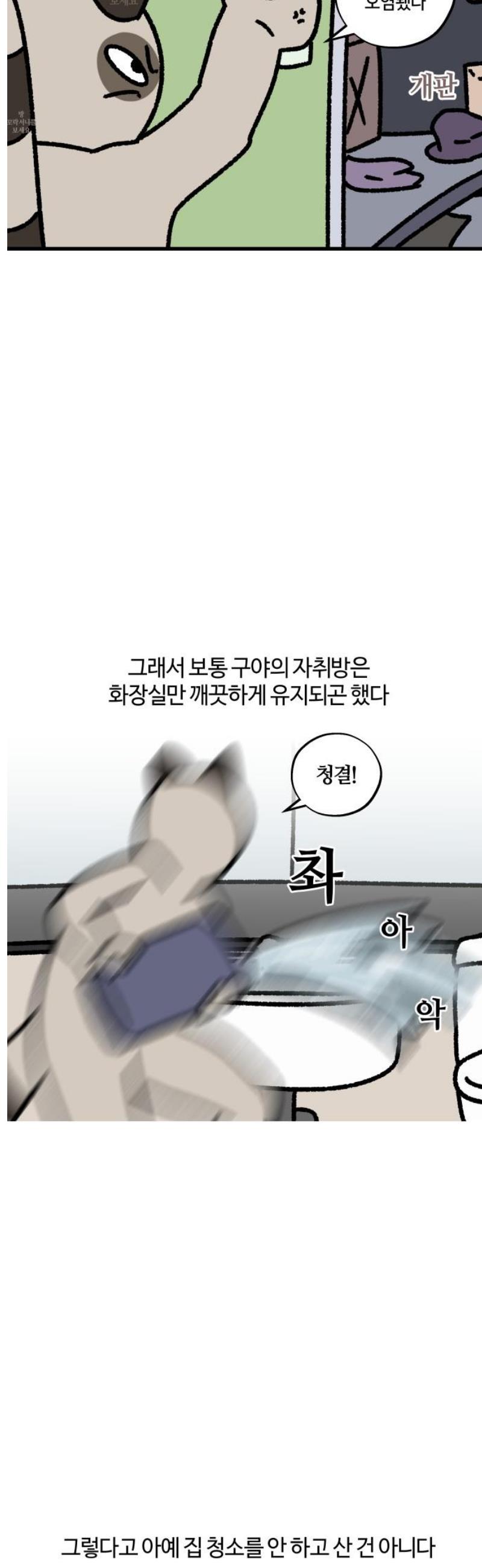 005.jpg