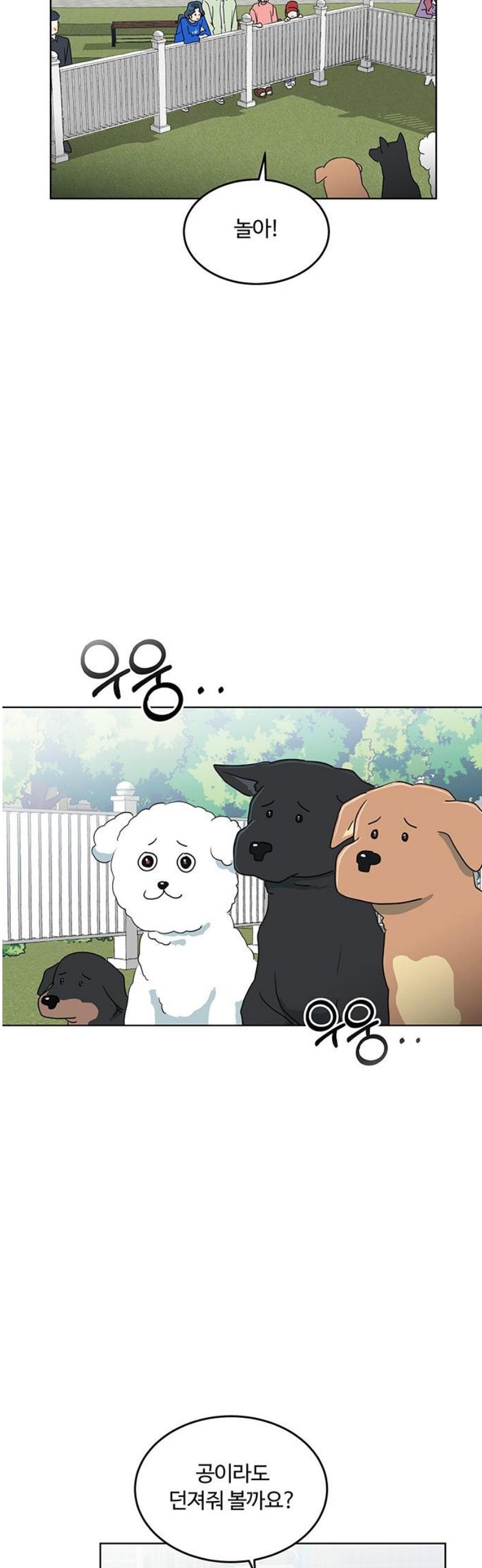 010.jpg
