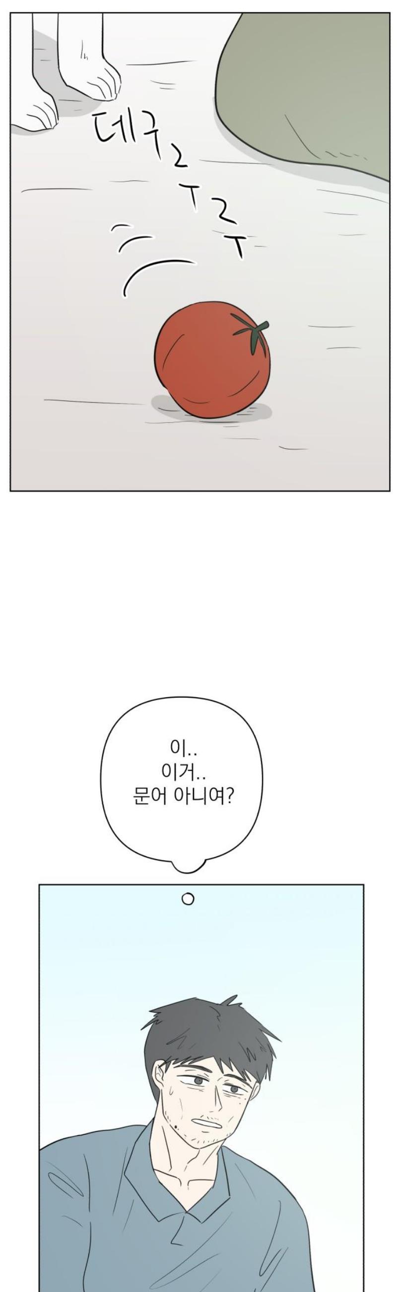 003.jpg