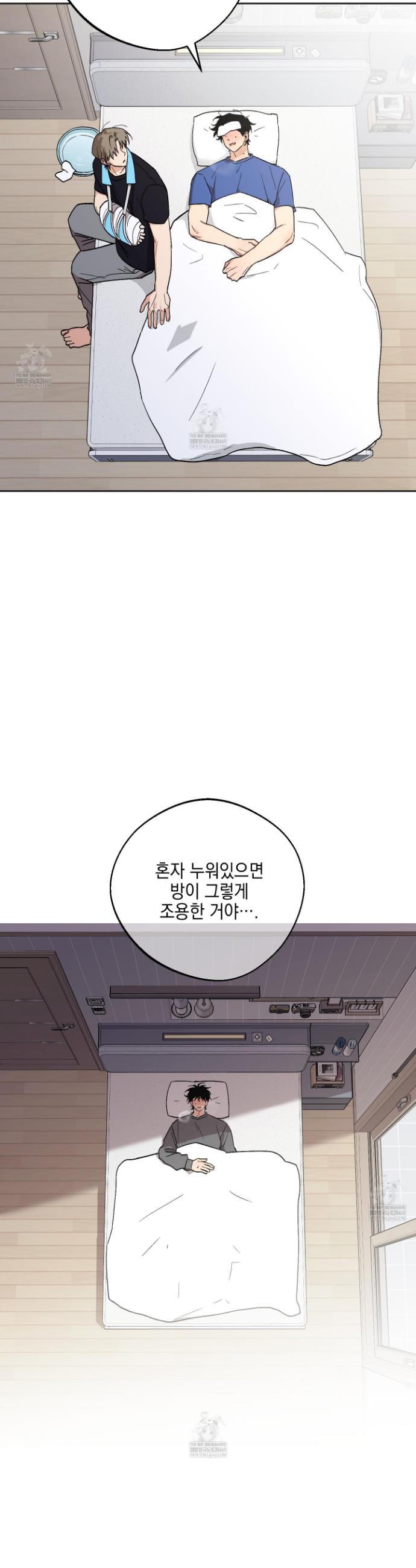005.jpg