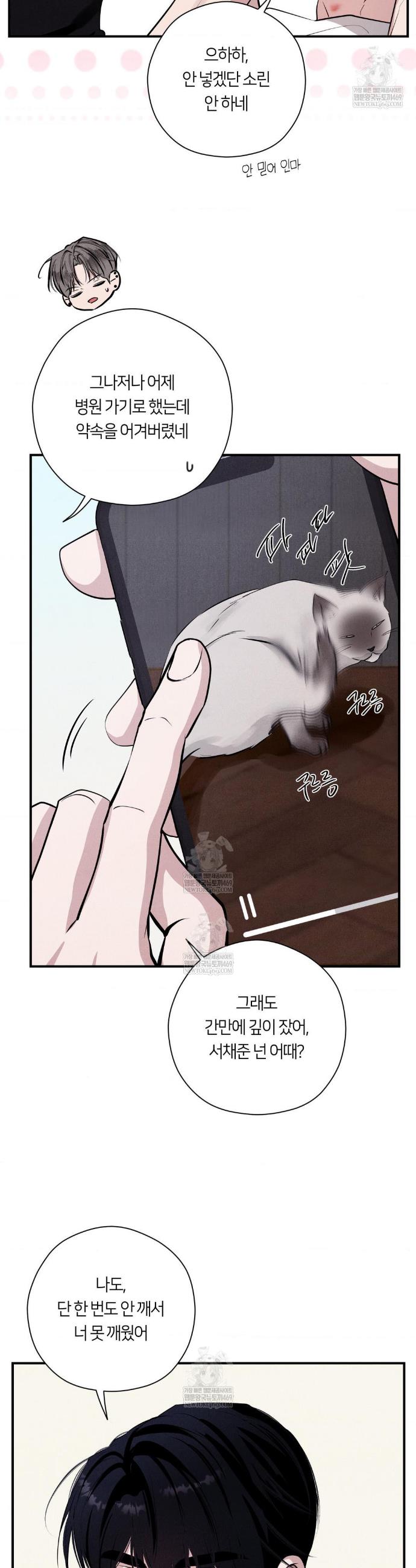 009.jpg
