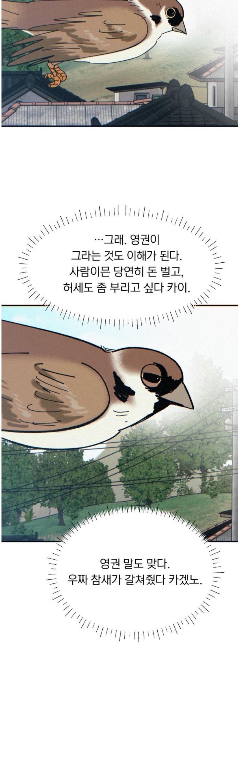 031.jpg