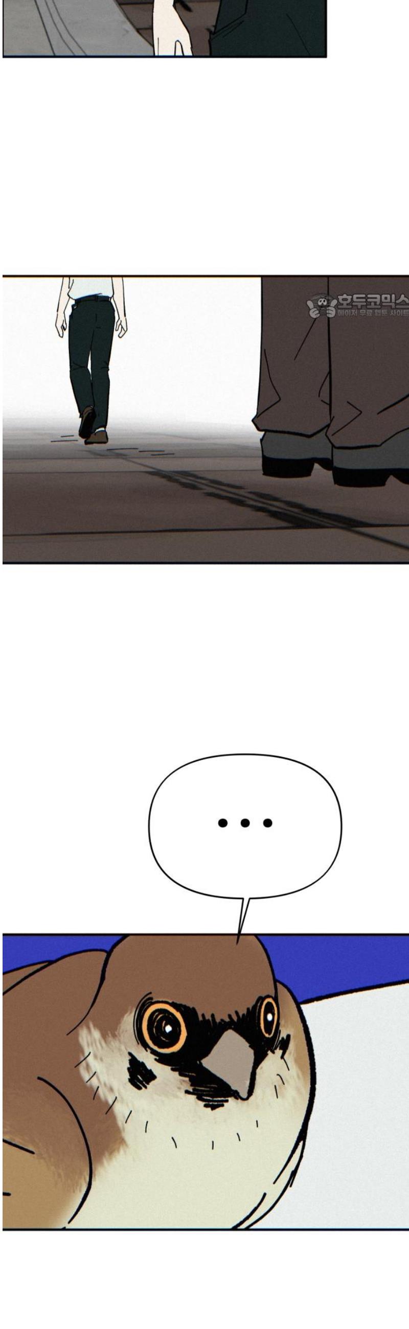 009.jpg