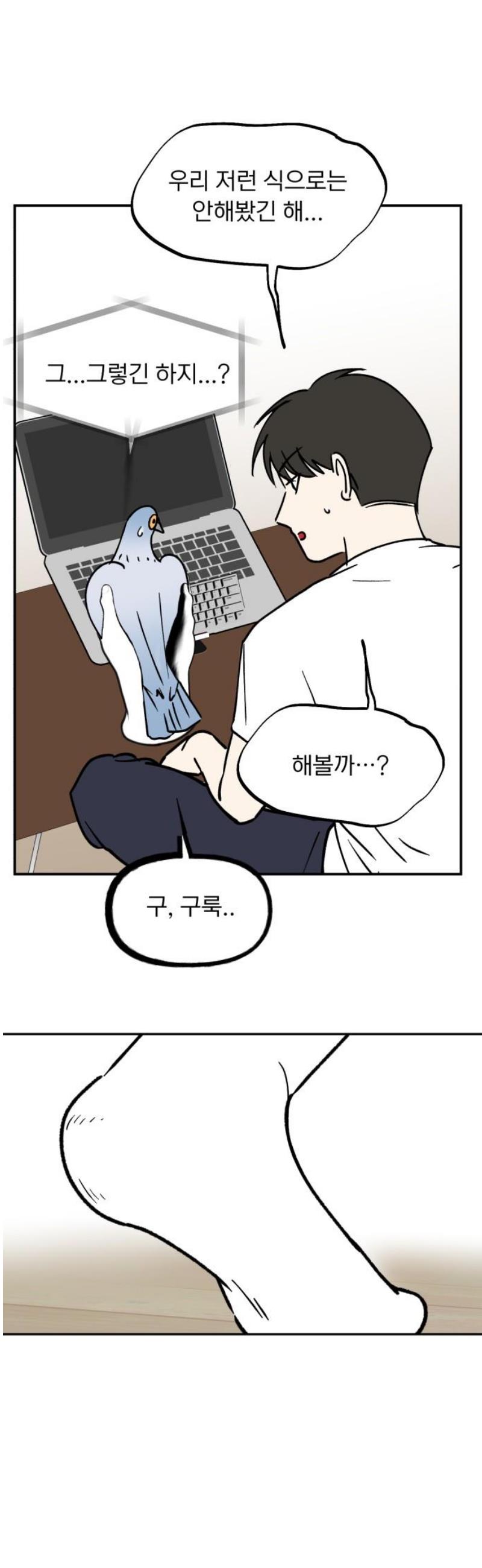 003.jpg