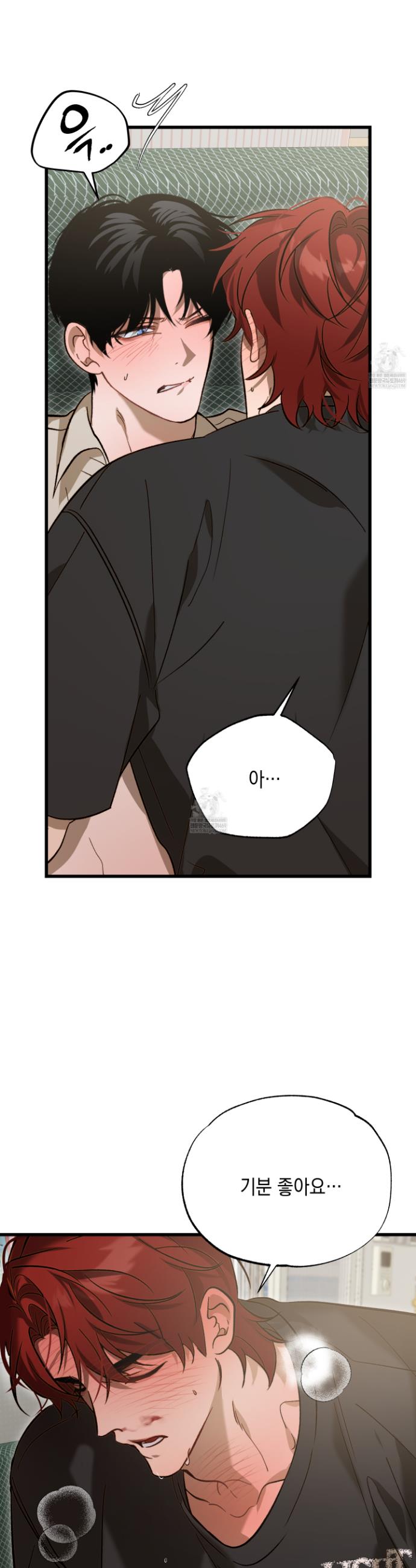 005.jpg