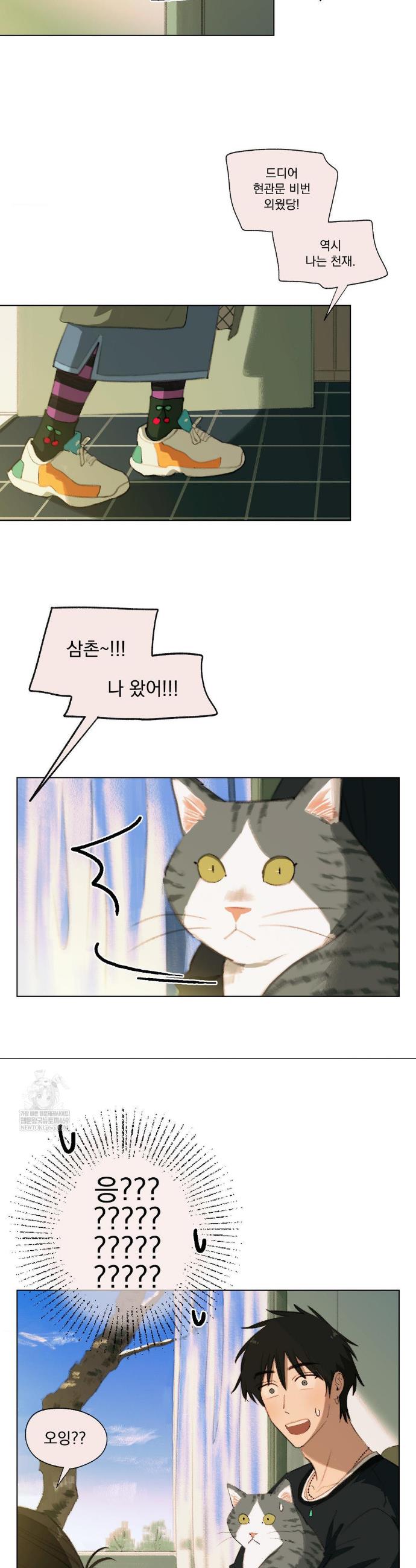 004.jpg