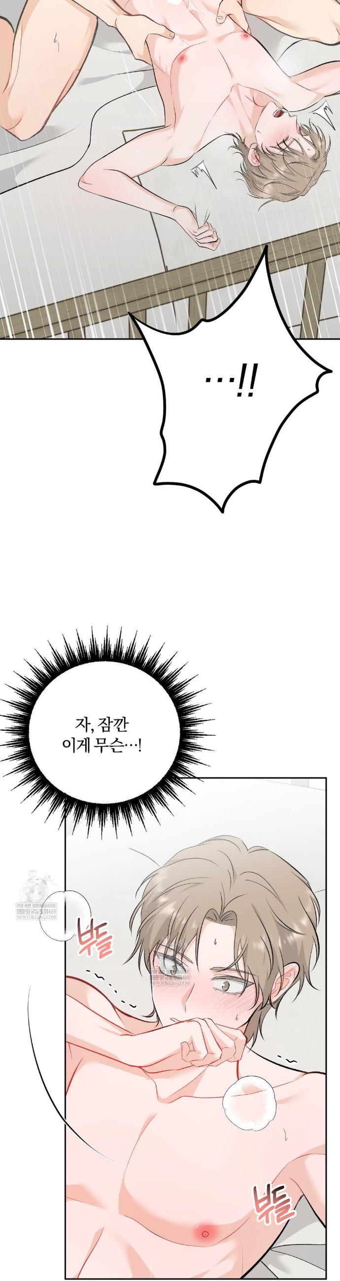 005.jpg