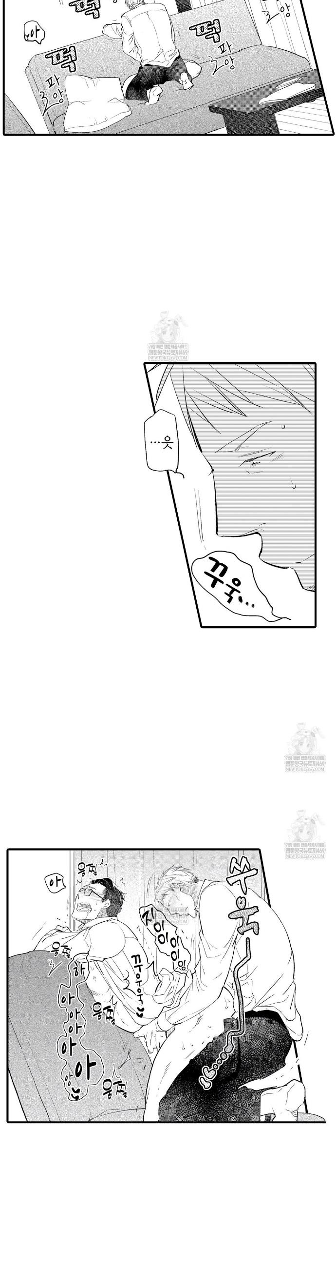 003.jpg