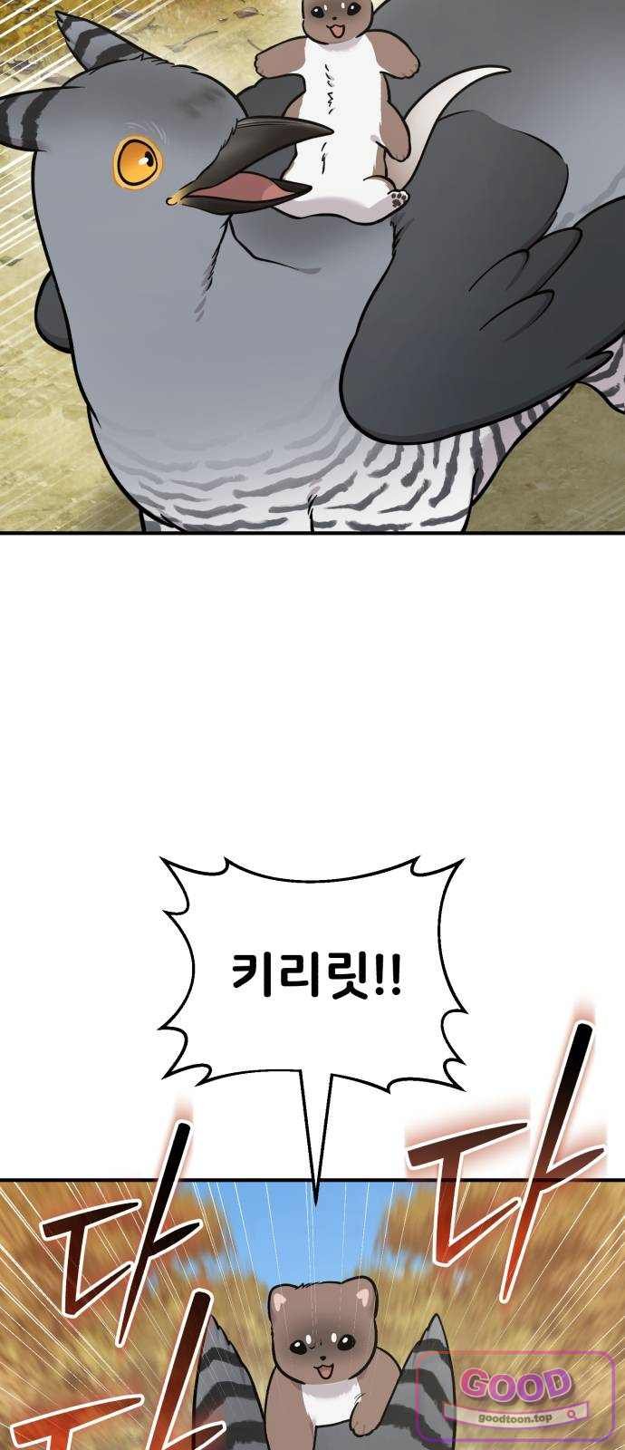 005.jpg
