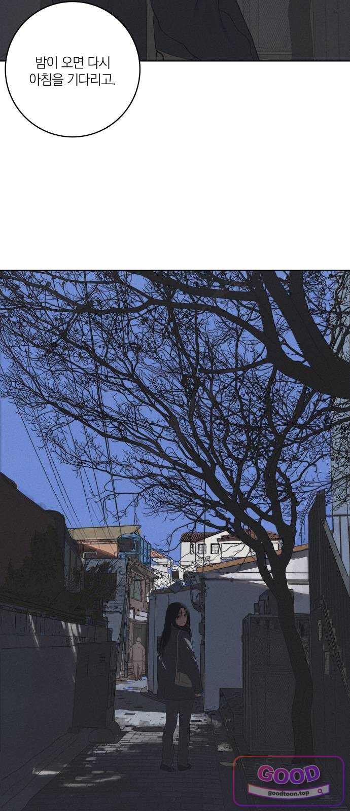 008.jpg
