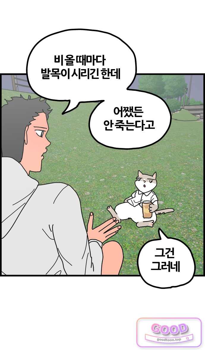 008.jpg