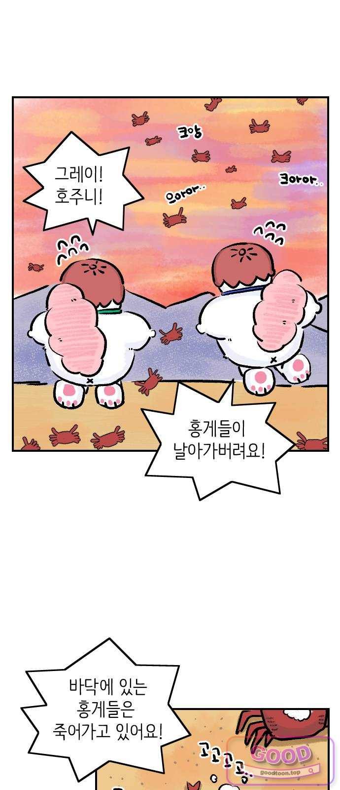 003.jpg