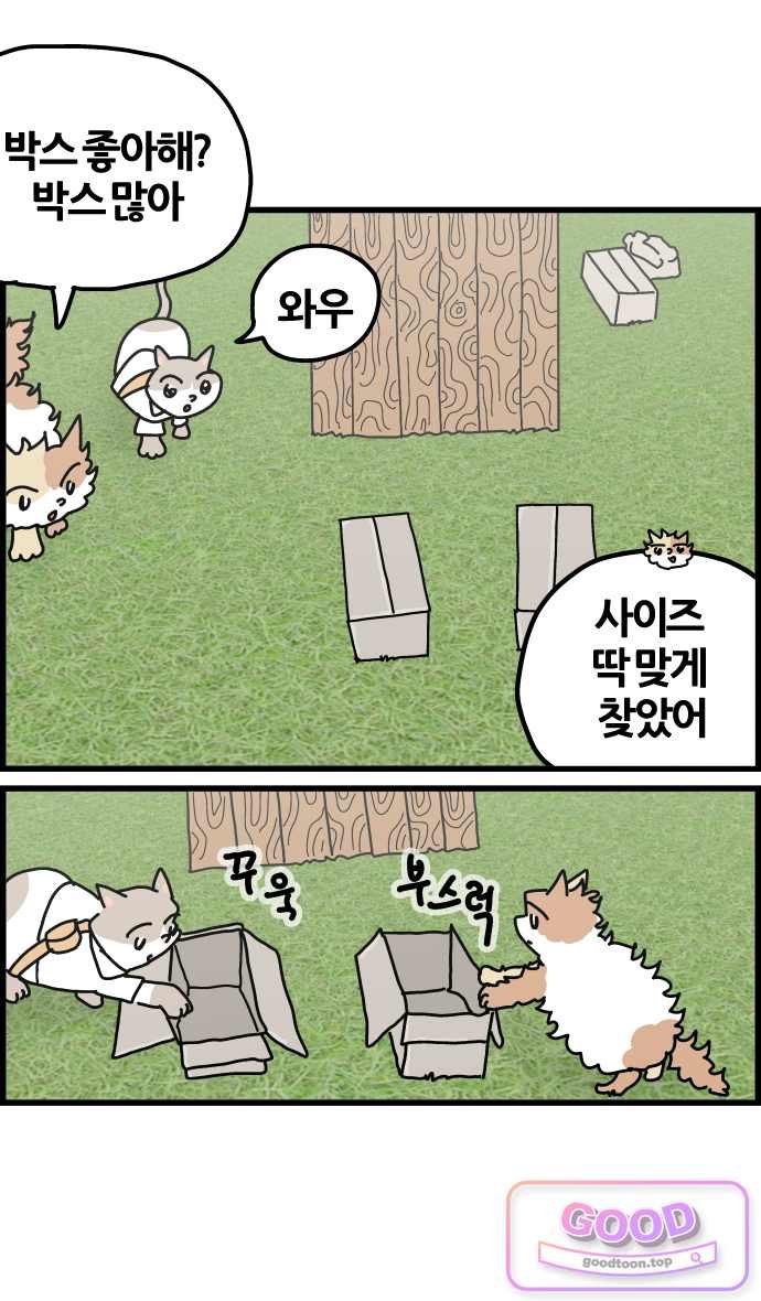 009.jpg