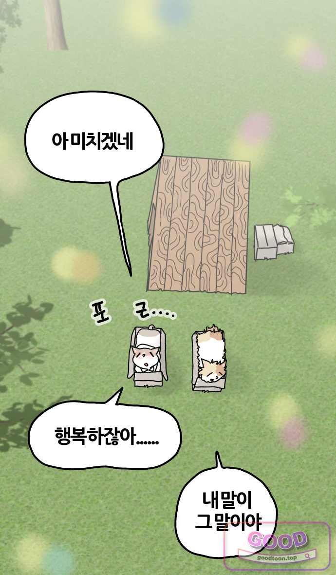 010.jpg