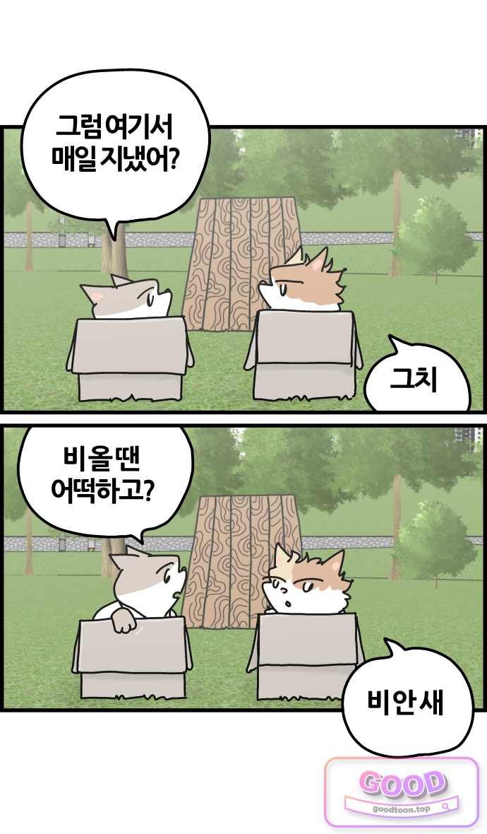 011.jpg