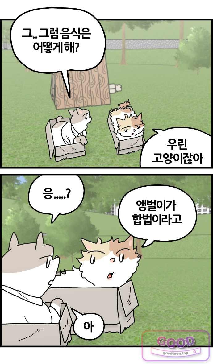 012.jpg