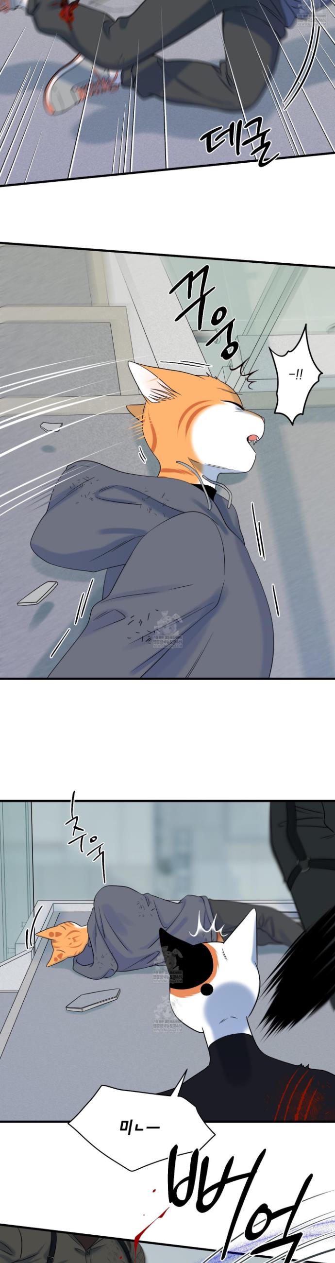 005.jpg