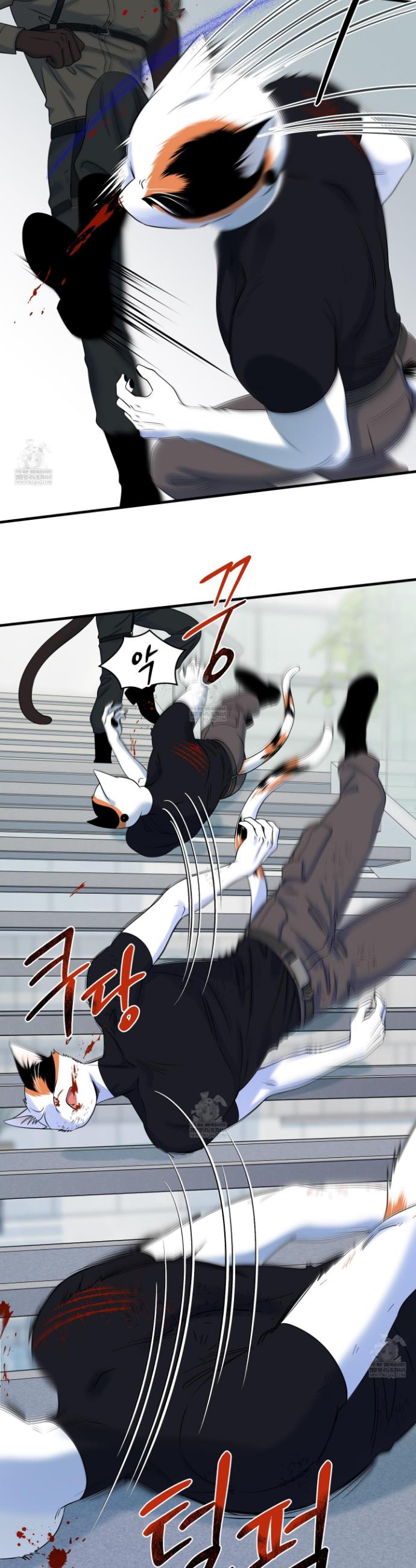006.jpg