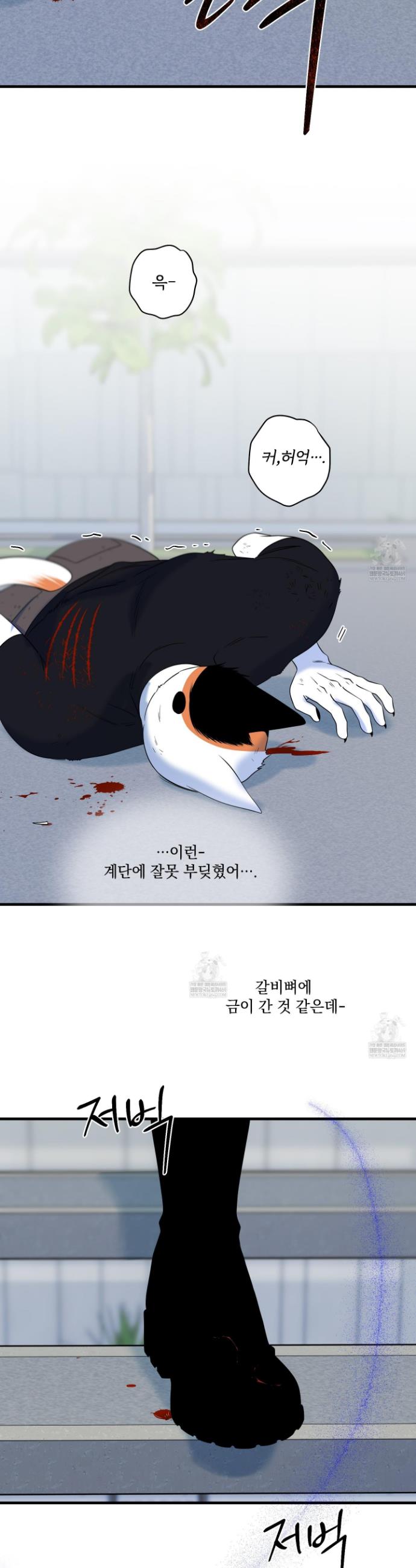 007.jpg
