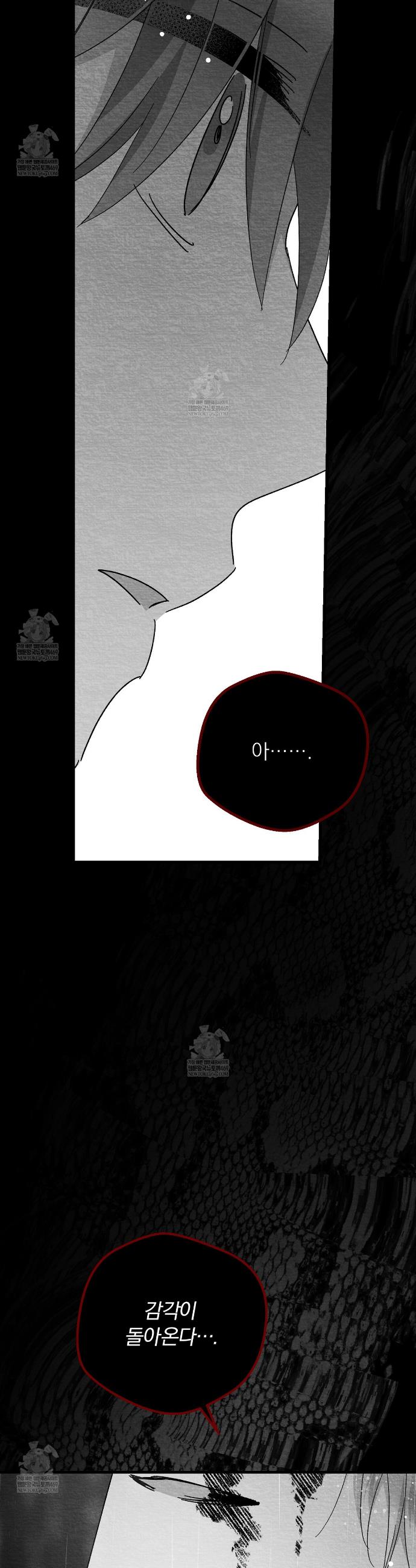 010.jpg