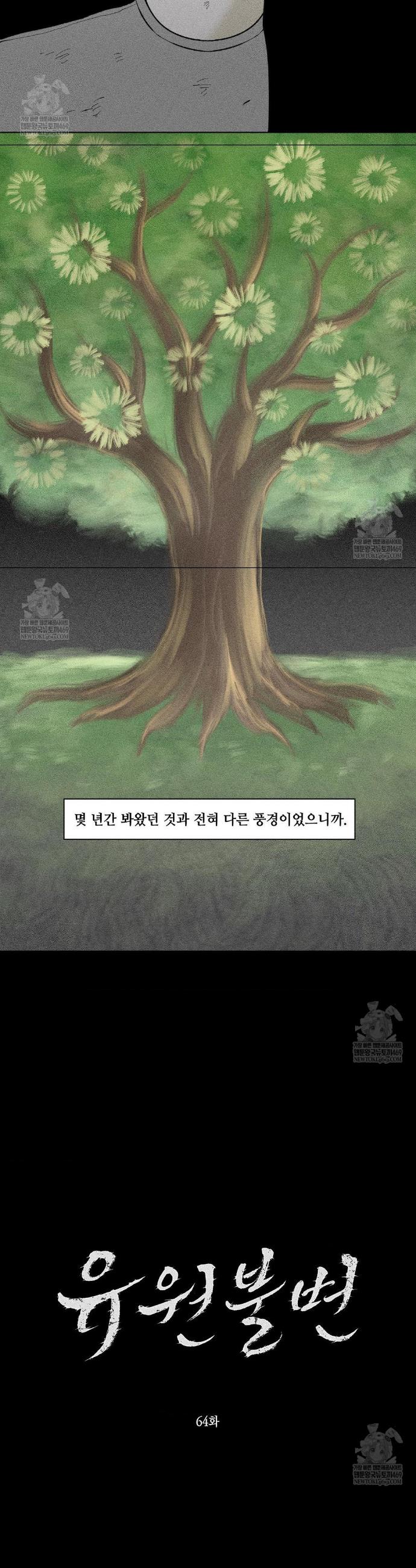 009.jpg