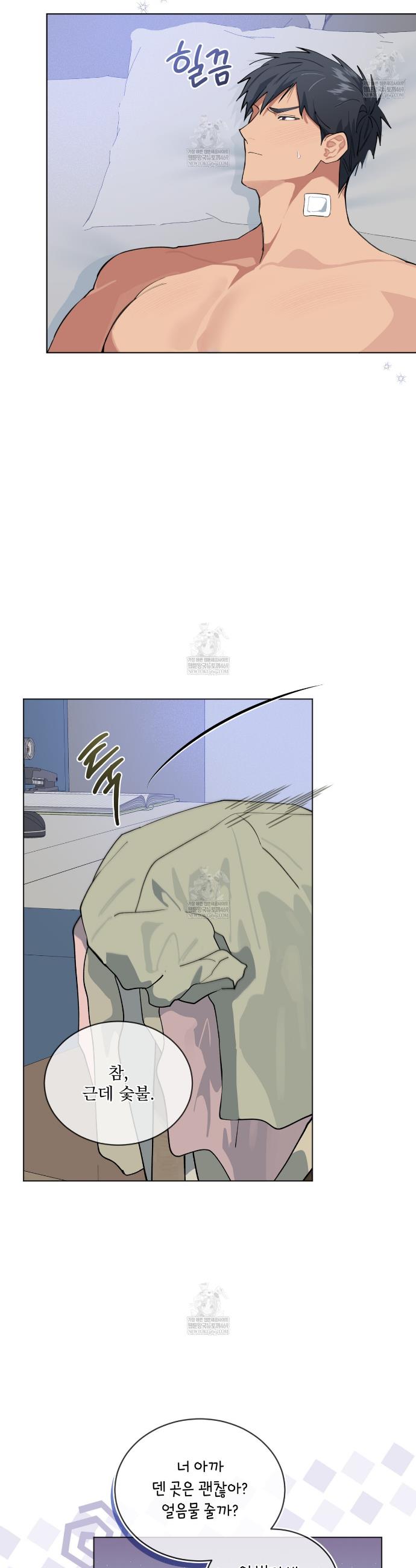 004.jpg
