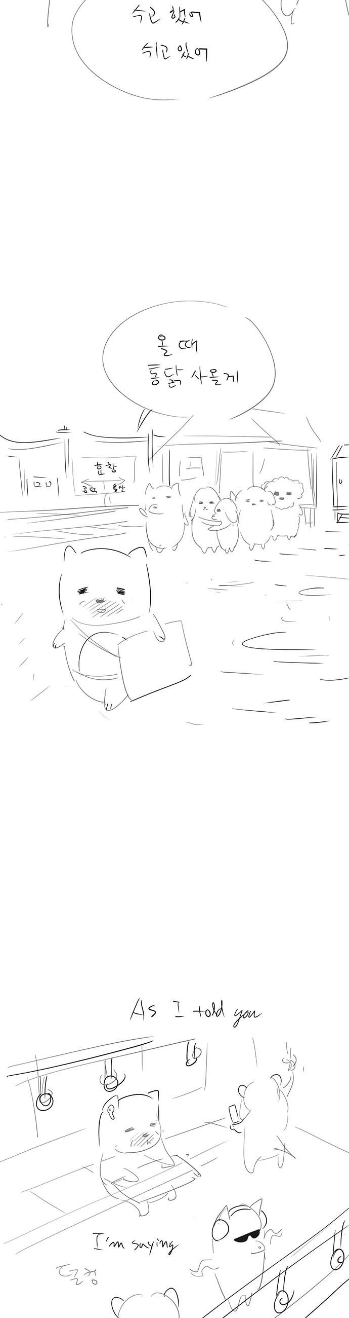 003.jpg