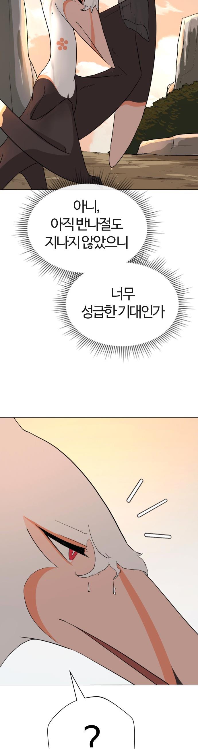 003.jpg