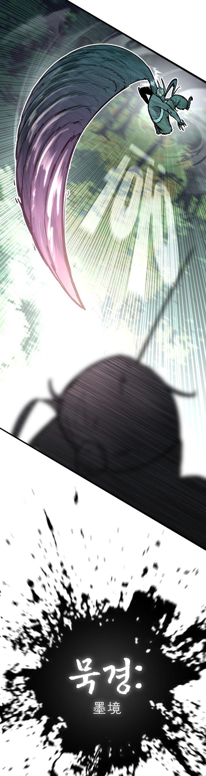 005.jpg