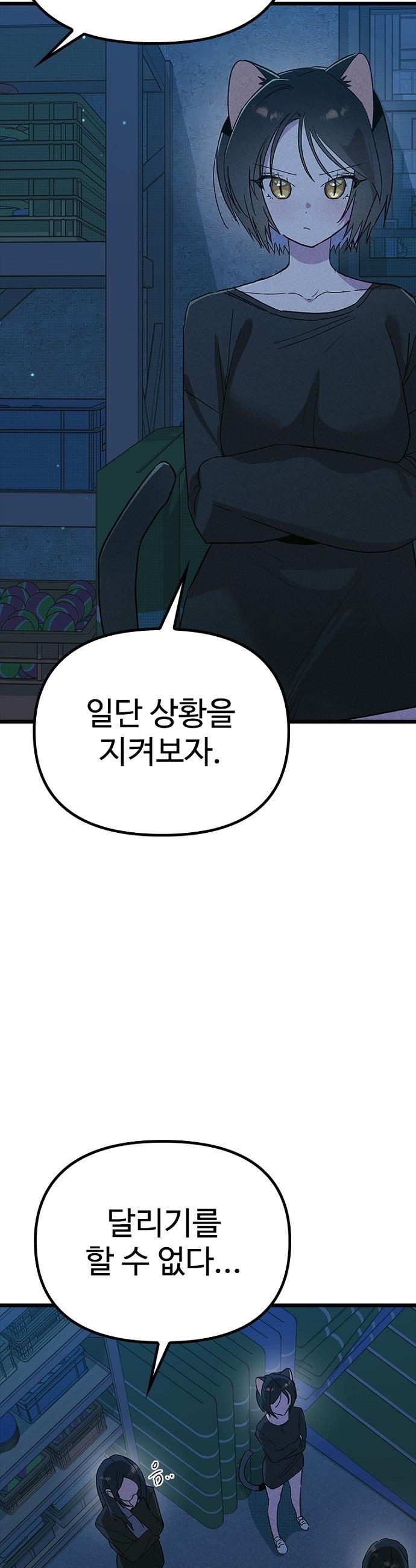 010.jpg