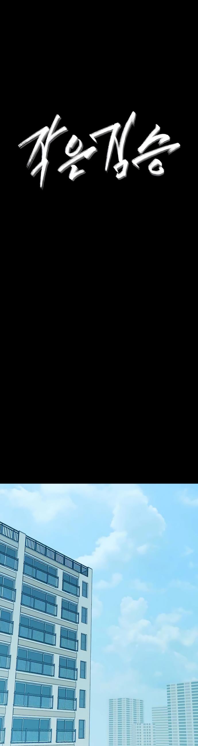 005.jpg