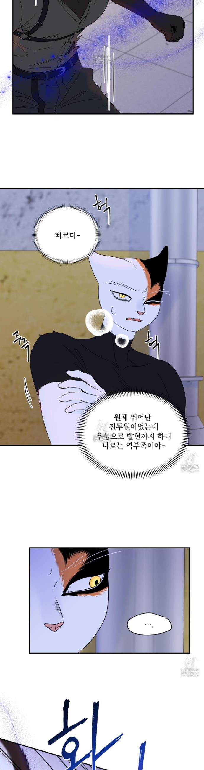 006.jpg