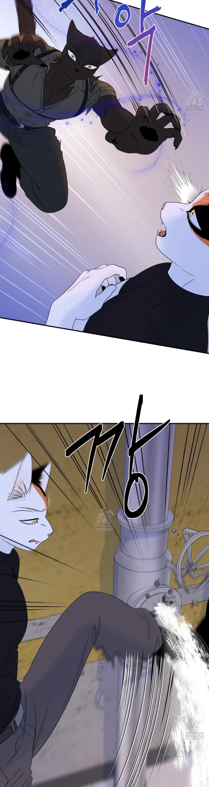 007.jpg