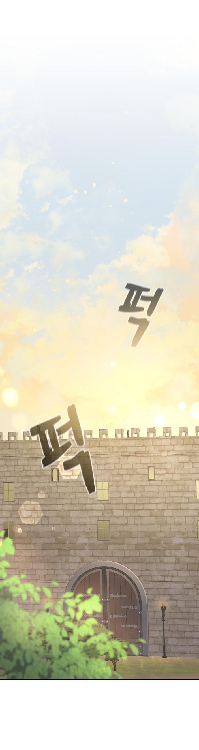 019.jpg