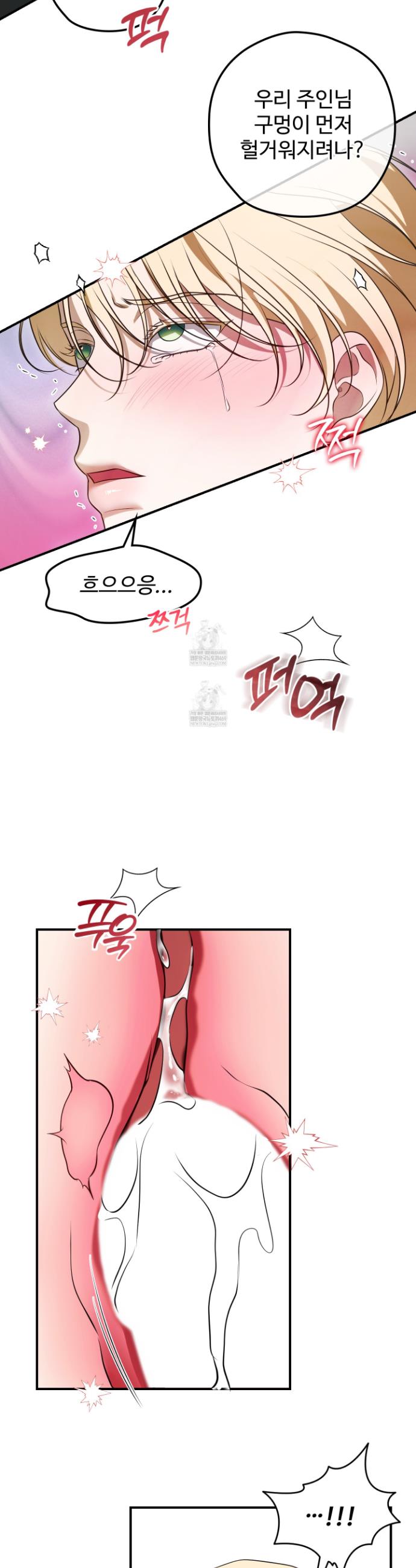 005.jpg