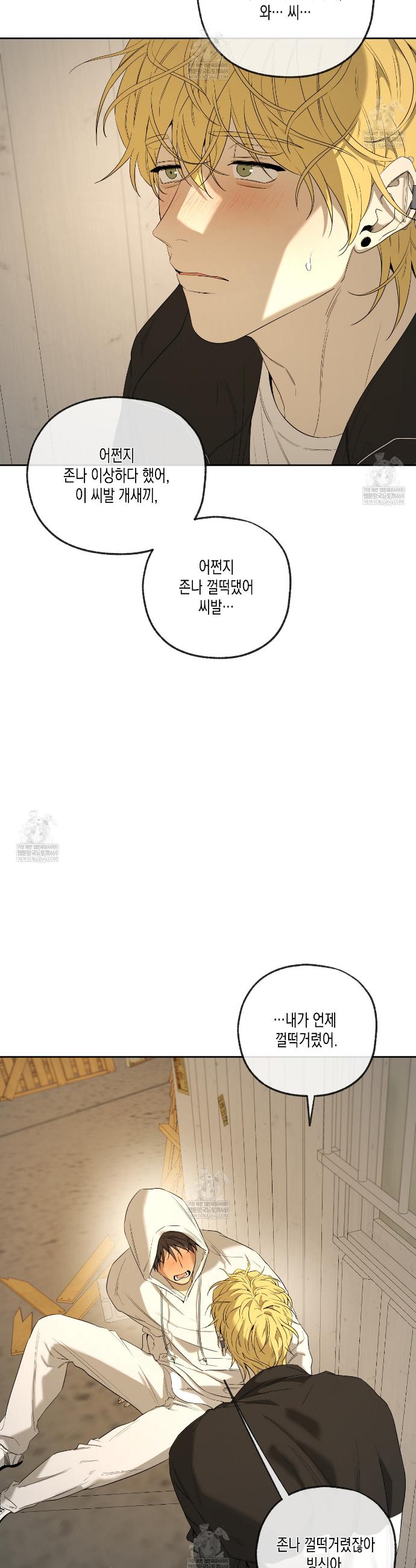 031.jpg