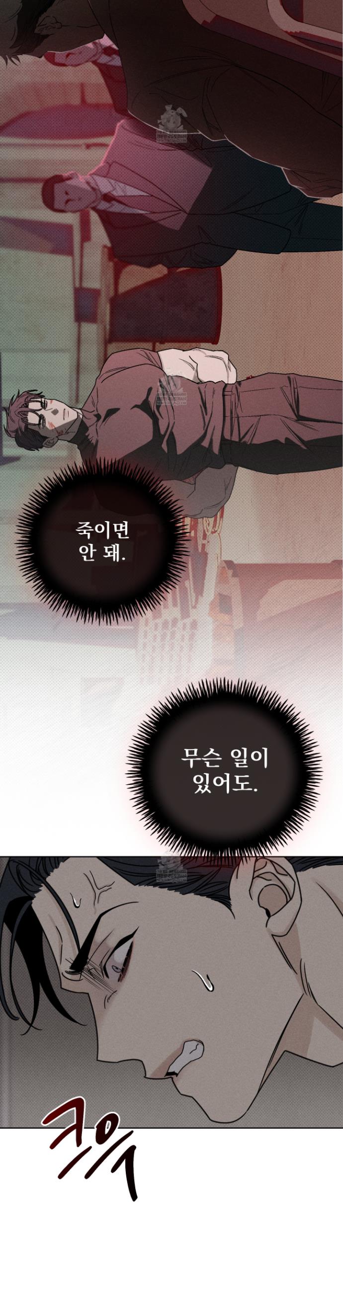 009.jpg
