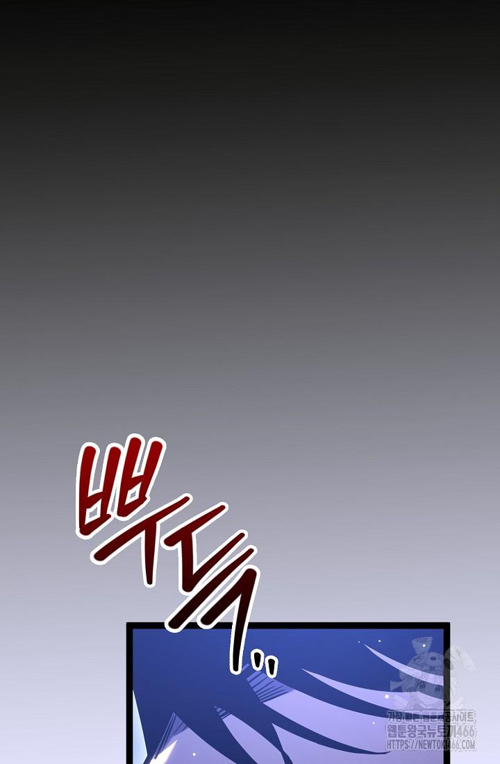 113.jpg