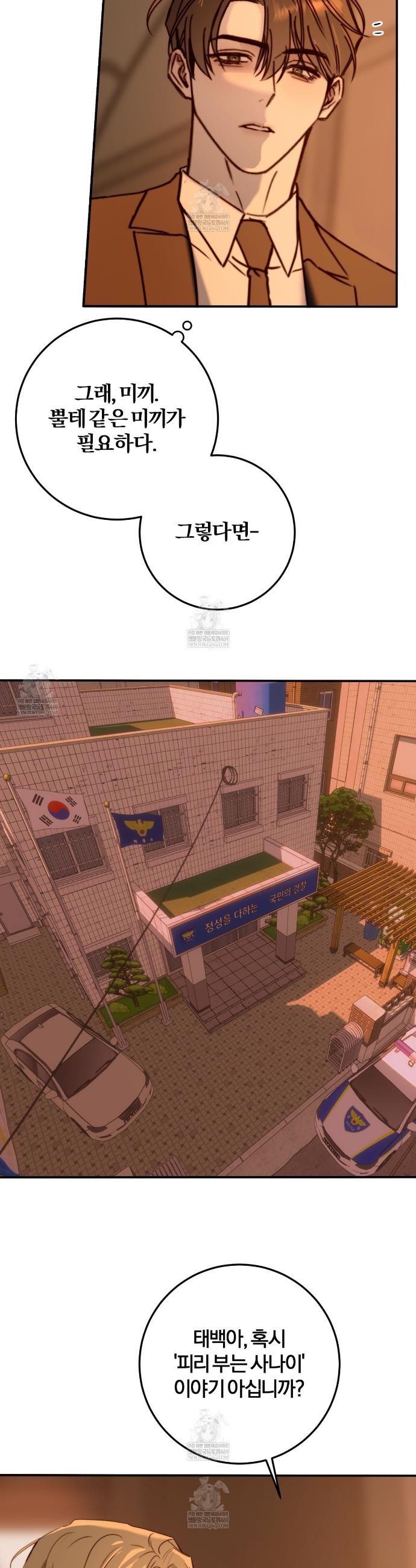 005.jpg