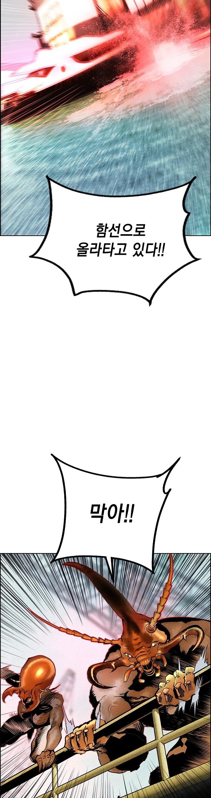 005.jpg