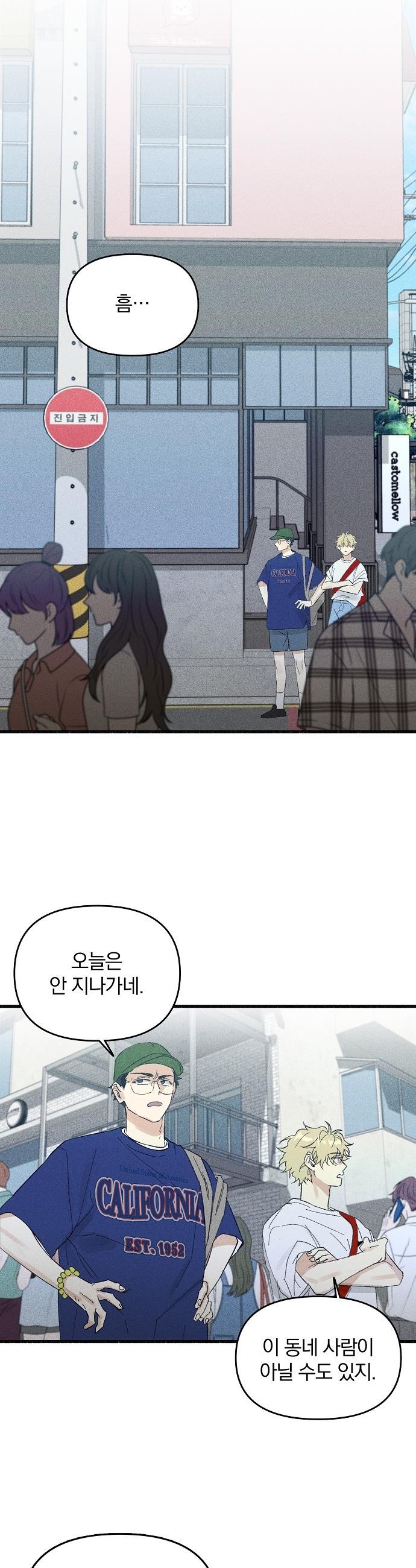 005.jpg