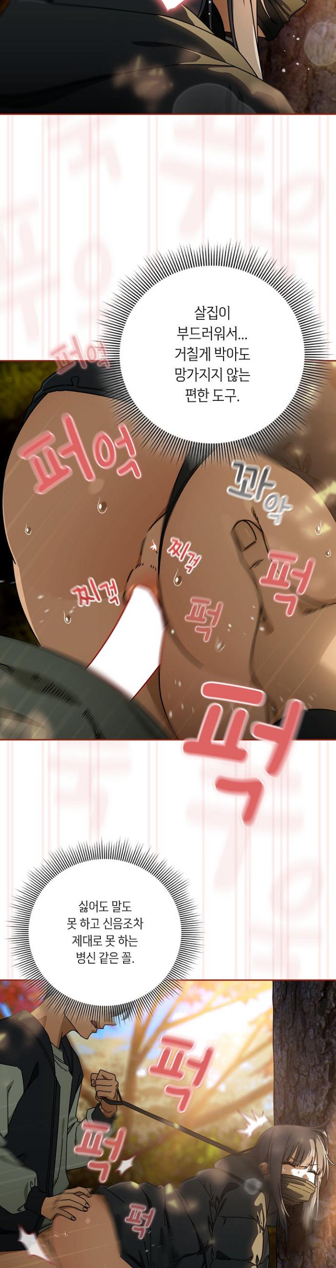003.jpg